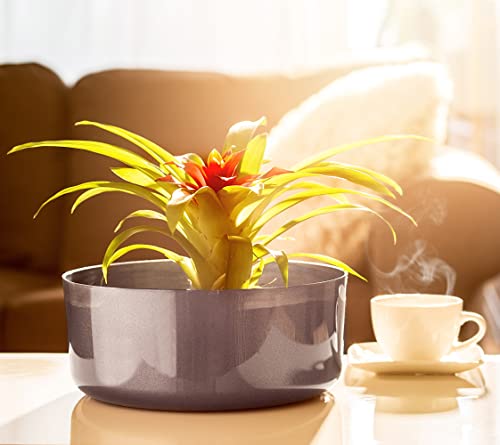 KADAX Blumenschale aus Kunststoff, runde Schale, Pflanzschale, Pflanzgefäß, Kunststoffschale für Fensterbank, Tisch, Wohnzimmer… – Ansicht 2