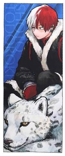 僕のヒーローアカデミア 大判タオル 轟焦凍 5点 セット 轟焦凍