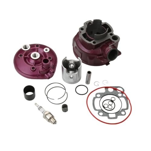 Kit culasse AM6 49mm pour réparer la perte de puissance RYZ SM 50