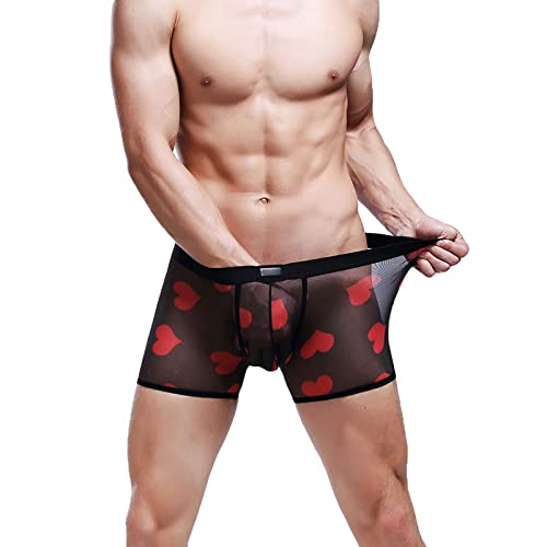 Evankin Men's Sexy Mesh Boxer Briefs Hot Lip Transparent Lingerie Red Heart Print Mesh Transparent Bulge Pouch Underpants(43Black2Pcs,Xl) #TOP2
