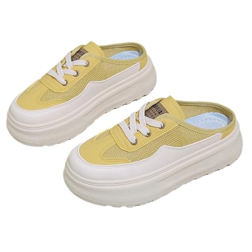 [TQAZQA] Xj[J[  5cmgAbv Xb| T{ ƂȂ bV ʊw fB[X JWAV[Yʋ 24.0 cm ʊw CG[ 풅p ʋC s  EȒP t 