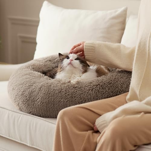 BEDSURE Katzenbett waschbar Flauschiges Hundebett - Ø 50 cm Rund Kissen, Katzenschlafplatz für Katzen Kleine Mittelgroße Hunde, Plüsch Katzenkissen Rund Kuschelbett Katzen Bettchen, Kamel