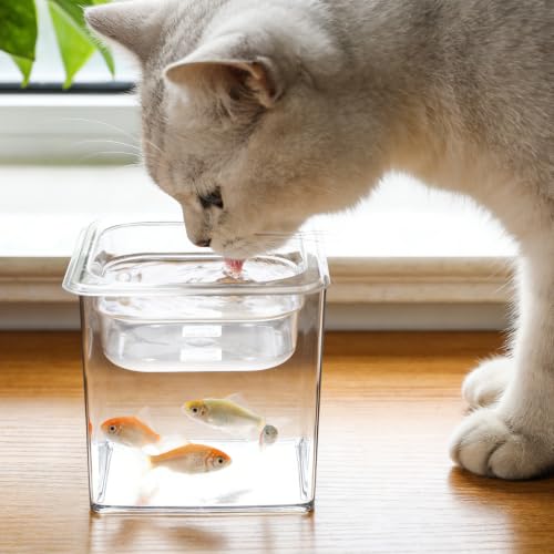 Pecera transparente Beavorty de plástico para escritorio y hogar 6