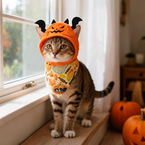 Disfraz Halloween para perro y gato, talla única miniatura 6