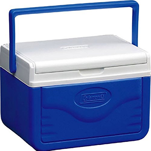 7 Best Small Personal Coolers 2021 Top Product Reviews