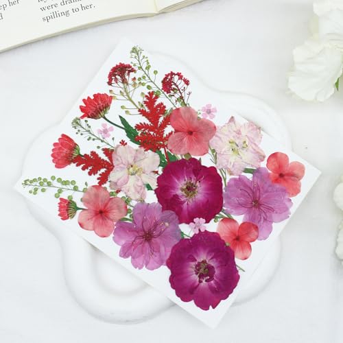 120 hojas y flores prensadas secas para manualidades miniatura 7
