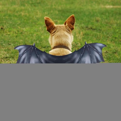 Haustier Kostüme,Hund Kostüm - Outfit Kreatives Cosplay Zubehör Für Welpenclub Outdoor Haustier Verkleidung
