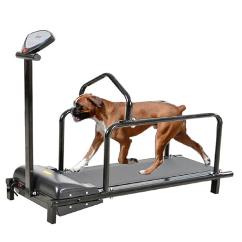 ylpddmm Cinta de Correr para Perros, Cinta de Correr para Perros Grandes, Ajustes de inclinación, Equipo de Ejercicio para Mascotas en Interiores, Capacidad de Carga 80 kg