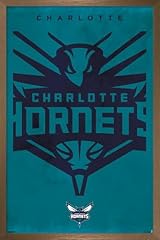 Bronze Framed Version