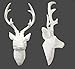 Produktbild Unbekannt Hirschgeweih Hirschkopf Geweih 10-Ender in Weiss ca. 30x18x40cm