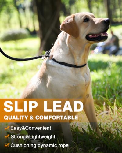 Image of 2 Pack Dog Leash Slip Lead Braided Rope Pet Training Loop Leashes 5ft 6ft