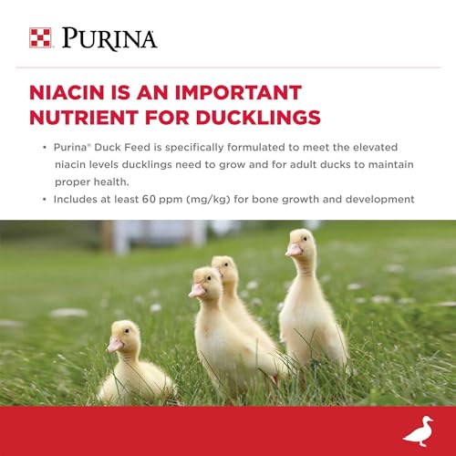 Purina | Nutritionally Complete Duck Feed for All Life-Stages | 5 Pound (5 lb.) Bag - Thumbnail 3