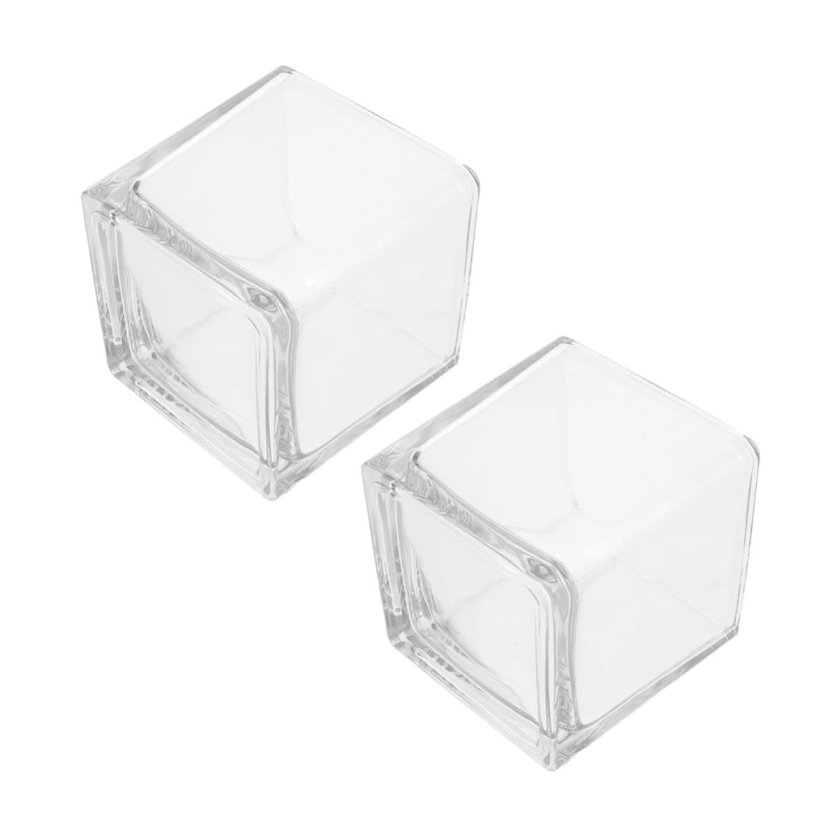 Vases carrés en verre transparent pour plantes hydroponiques lot de 2