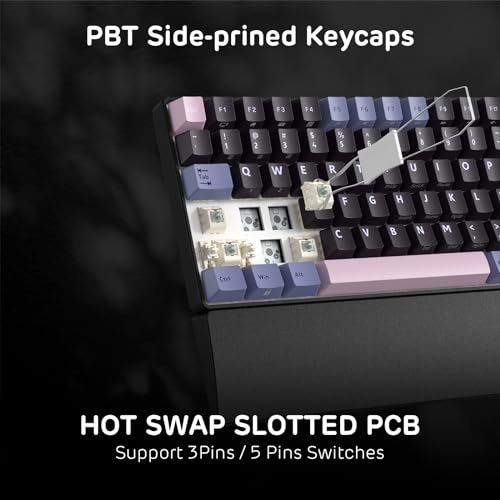 Image of RK ROYAL KLUDGE RK96 RGB Limited Ed, 90% 96 Keys Wireless 3-Mode BT5.0 /2.4G /USB-C Hot Swappable Mechanical Keyboard w /Wrist Rest, Volume Control, Software, Massive Battery, RK Pale Green Switch