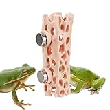 Gecko Habitat - Caja de refugio de montaje magnético, diseño acrílico transparente, accesorio de recinto fácil de instalar, espacio de descanso vertical para escalada | exhibición de decoración de