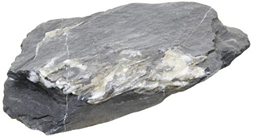 J~n^ ANAEbN Ε `󂨔C DF