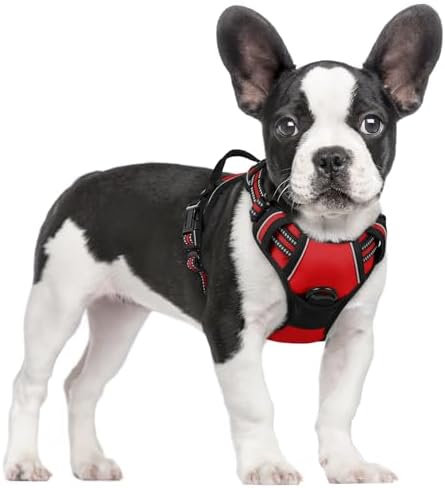 rabbitgoo Hundegeschirr Mittelgroße Hunde Anti Zug mit Griff, S, Rot | No Pull & Individuell Anpassbar, Atmungsaktiv Gepolstert, 2 D-Ringe, Schnellverschlüsse, Reflektierend für Ga