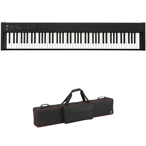 KORG dqsAm D1 \tgP[XZbg