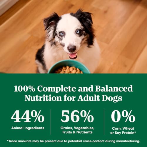 Nutro Natural Choice Adult Dry Dog Food, Chicken & Brown Rice Recipe, 5 lb | Non-GMO, Real chicken #1 ingredient, no corn, wheat, soy or chicken by-product meal, supports skin & coat/digestion/immunity - image 8