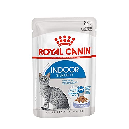 Royal Canin Indoor Sterilised in Gelee | Doppelpack | 2 x 12 x 85 g | Alleinfuttermittel für ausgewachsene Katzen die im Haus Leben | Für sterilisierte Katzen | Häppchen in Gelee