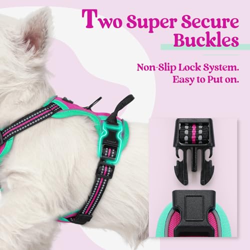 Image of rabbitgoo Dog Harness No Pull with 2 Leash Clips, Adjustable Soft Padded, Reflective Oxford No Choke Pet Vest with Easy Control Handle for Large Dogs, Hot Pink & Turquoise, XS