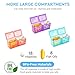 Monthly Pill Organizer 2 Times a Day, 30 Day Pill Organizer Box AM PM with Weekly Pill Bag,32 Daily Large Compartments,1 Month Pill Holder to Hold Vitamins, Medication and Supplements