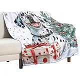 Matière : Notre Couverture Polaire est confectionné en flanelle anti-boulochage. Doux et confortable, il vous enveloppe de chaleur en toute saison.