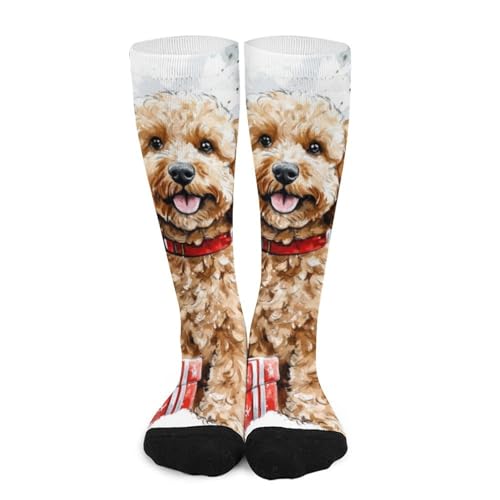 Smiling Dobermann Dog Crew Socks for Men Women Casual Socks for Soccer Running Hiking