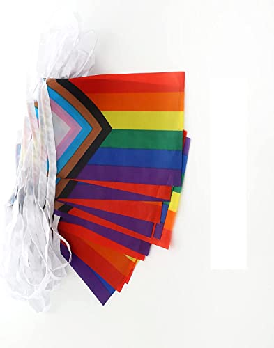 Zxvzyt Progress Rainbow Pride Flags Banner String,Small Mini Rainbow Gay Lgbt Pennant Flag For Rainbow Party Festival Decorations(50 Feet 38 Flags ) #TOP4