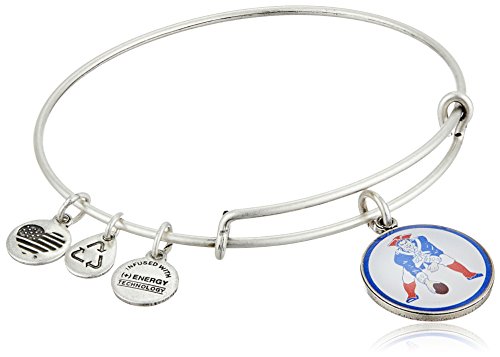 Alex and Ani Pat The Patriot Expandable Rafaelian Silver Bangle Bracelet