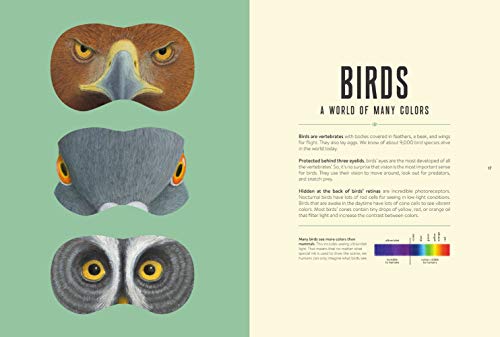 Eye Spy: Wild Ways Animals See the World