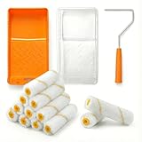 Mister Rui 4 Inch Mini Paint Roller Kit of 16, Gloss Roller, Smooth Gloss Finish for Walls, Furniture and Small Spaces