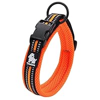 イヌパシー　Sサイズ首輪 オレンジ イヌパシー専用 首輪ベルトのみ