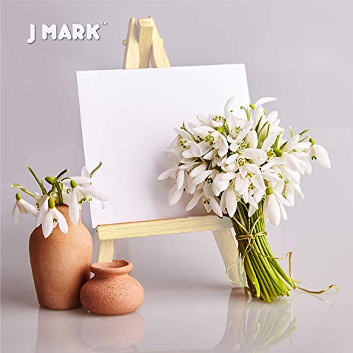 J Mark 003 Painting Kit Includes Acrylic Paint Set thumb #7