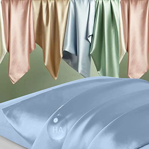Silk Pillowcase For Hair And Skin,Mulberry Silk Pillow Case,Health,Soft And Smooth,Anti Acne,Beauty Sleep,Both Sides Natural Silk Pillow Covers With Hidden Zipper For Gift（Standard Size,Haze Blue） #TOP1