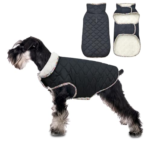 Tinsin ���� �~ ���ȕ� �y�b�g�~�p�� ���h���� �W���P�b�g �L���e�B���O���[�X�g�����t�� ���^�� ���^�� ��^�� ���� �� �R�[�g ����@�Ő􂦂� �m�� �g���� �h�� �h�� ��G��h�~ ?�O �����΍� ���� �L�� ���Ȃ� ���E�ȒP ���U�� ����h�~