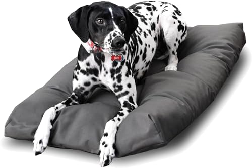 Naturepedic-Organic-Small-Pet-Bed-Super-Plush-Dog-Cat-Beds-Ultra-Supportive-Dog-Bed-Mat-Ideal-Pet-Bed-with-No-Polyurethane-Foam-23-x-17-x-3