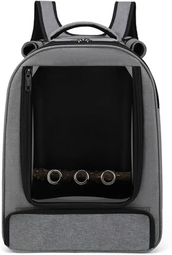 XOZIFY L[obO bN ^piCSEE_F - ʋC ^ѕ֗ ʉ@EsEdԁEUɍœK ybggуP[W (O[,X^hXeBbNƃvX`bNJbvt)