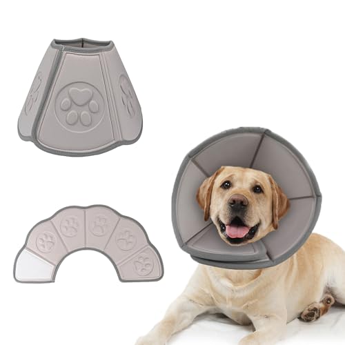 Liroyal GUxXJ[  L p񕜗pJ[ EVAf ߉\ y _炩 ʋC rߖh~ ~h~ p  ^Kp(lbN 17.5-21 cm)