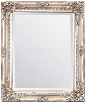 Select Mirrors Rhone Wall Mirror  French Vintage, Antique Baroque Style - 50cm x 60cm (Antique Champagne)