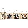 Christmas Farm Animals Ornaments Set of 4