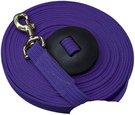 Showman 25' Flat Web Lunge Line Brass Snap Horse Barn Tack Training (Purple)