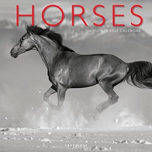 Graphique 2023 Horses Wall Calendar | 12” x 12” | Thick Paper | Home & Office Organizer | Large Monthly Grid | 3 Languages & Marked Holidays | 4 Month Preview Page for 2024…