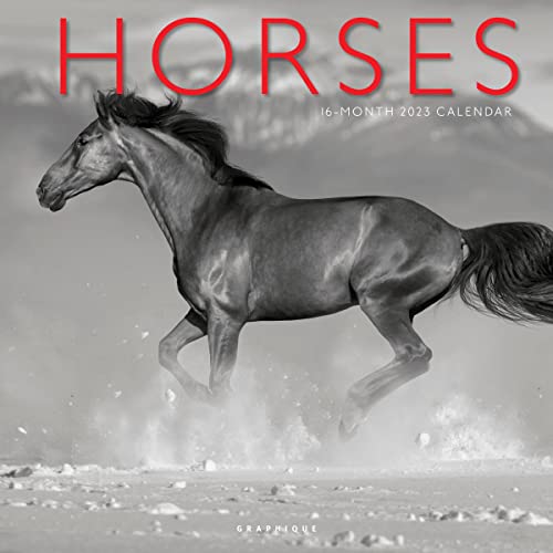 Graphique 2023 Horses Wall Calendar | 12” X 12” | Thick Paper | Home & Office Organizer | Large Monthly Grid | 3 Languages & Marked Holidays | 4 Month Preview Page For 2024… #TOP17