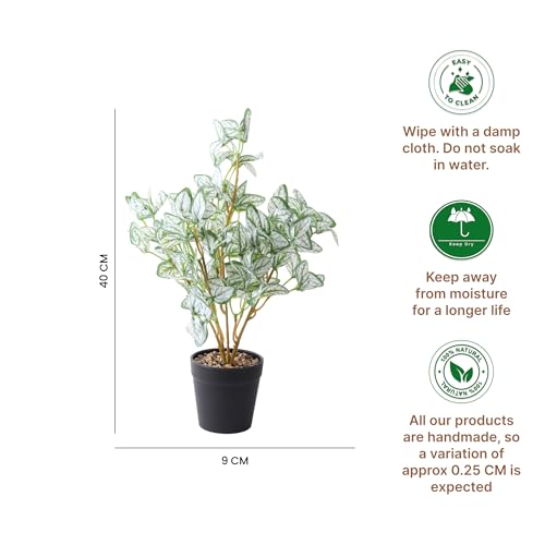 Image of Habere India-All the Cultures Fabricating India Arrowhead Artificial Plant with Pot for Home Decor | Small Fake Flower Plants for Living Room & Indoor Decoration (Design04: L9 x W9 x H40 cm)