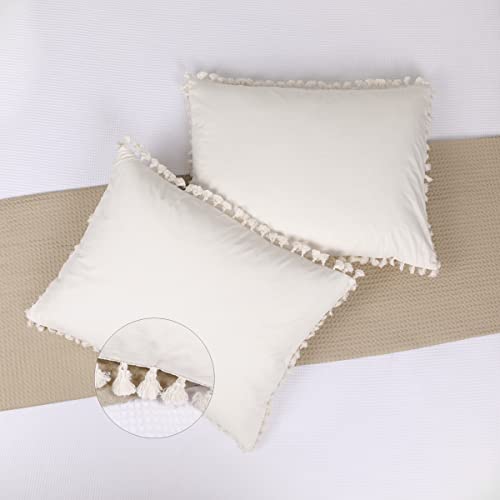 Top 10 Best Pillows For Shams By Editor in 2023