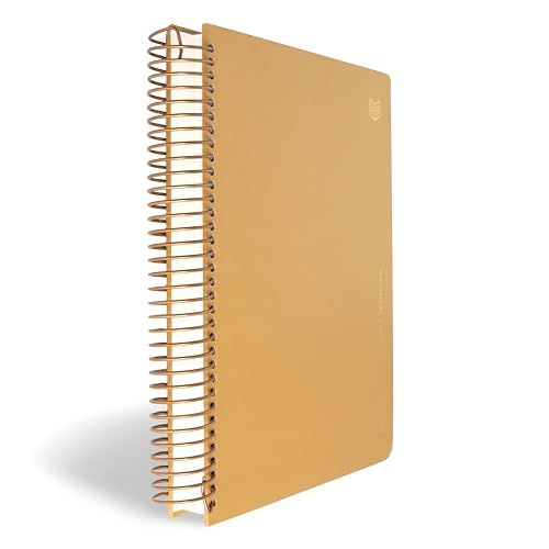 Image of CSB She Reads Truth Spiral-Bound Notetaking Bible, Historical, Hardcover, Black Letter, Full Color, Inductive Layout, Wide Margins, Notetaking Space, Reading Plans, Scripture Art, Lay-Flat Spiral