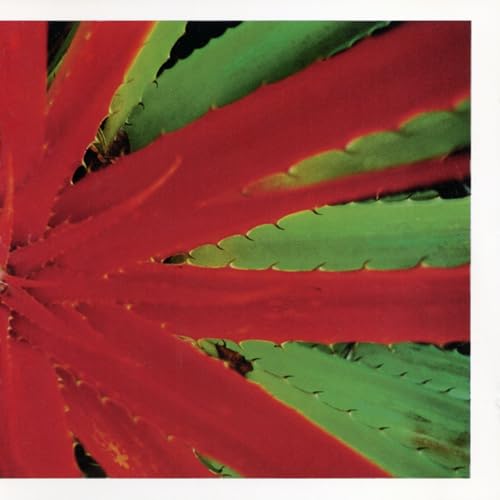 Pochette de This Afternoons Malady