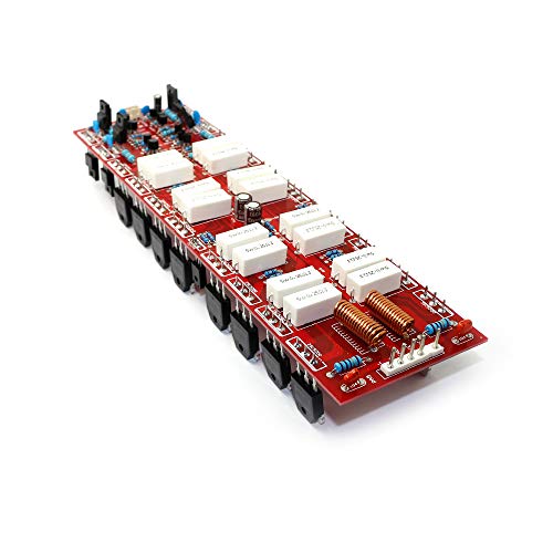 Amplificateur de puissance 450W + 450W double canal NJW0281 haute fidélité