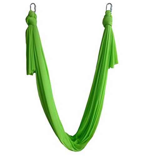 Wellsem 5.5yard Decompression Hammock Inversion Aerial Traction Yoga Gym Swing Hanging with Carabiners for Home & Outsides Sports to Shape Body (Green)